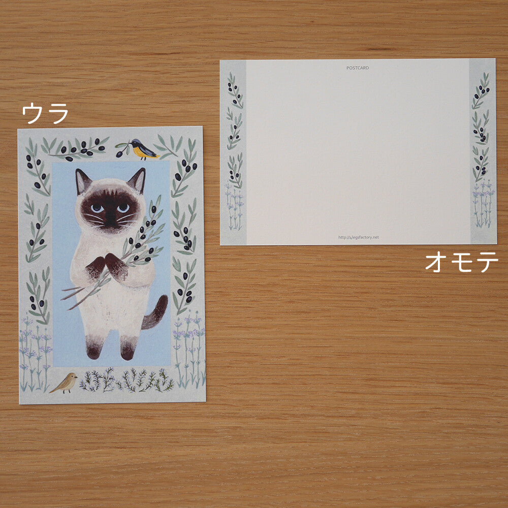 Siamese Cat with Plants Postcard