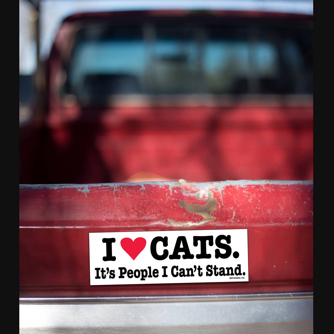 I Heart Cats It's People I Can't Stand Car Magnet