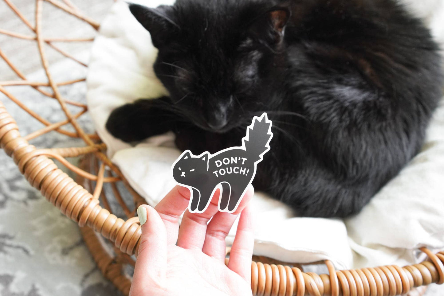 Don't Touch Black Cat Sticker