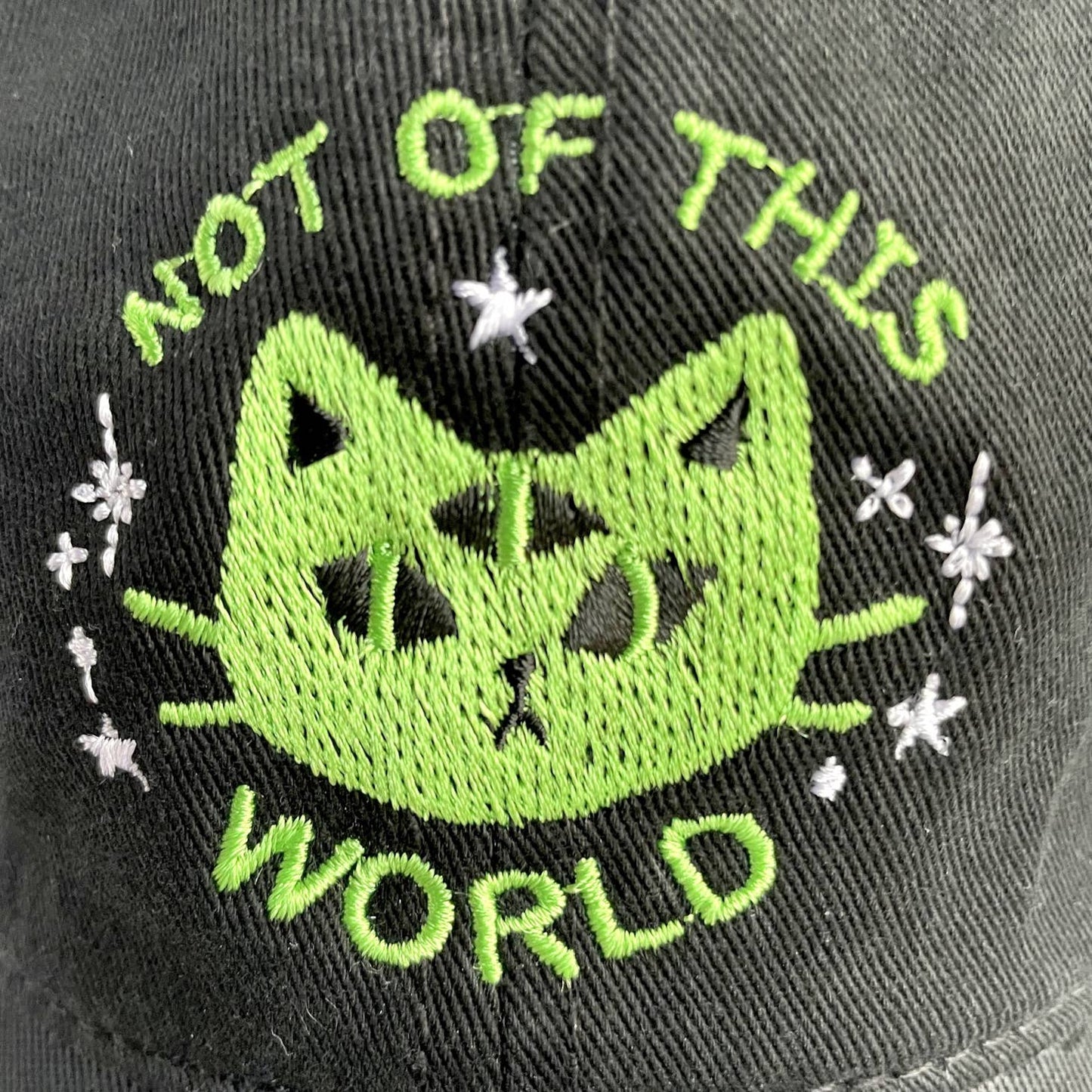 Not of This World Alien Cat Dad Hat