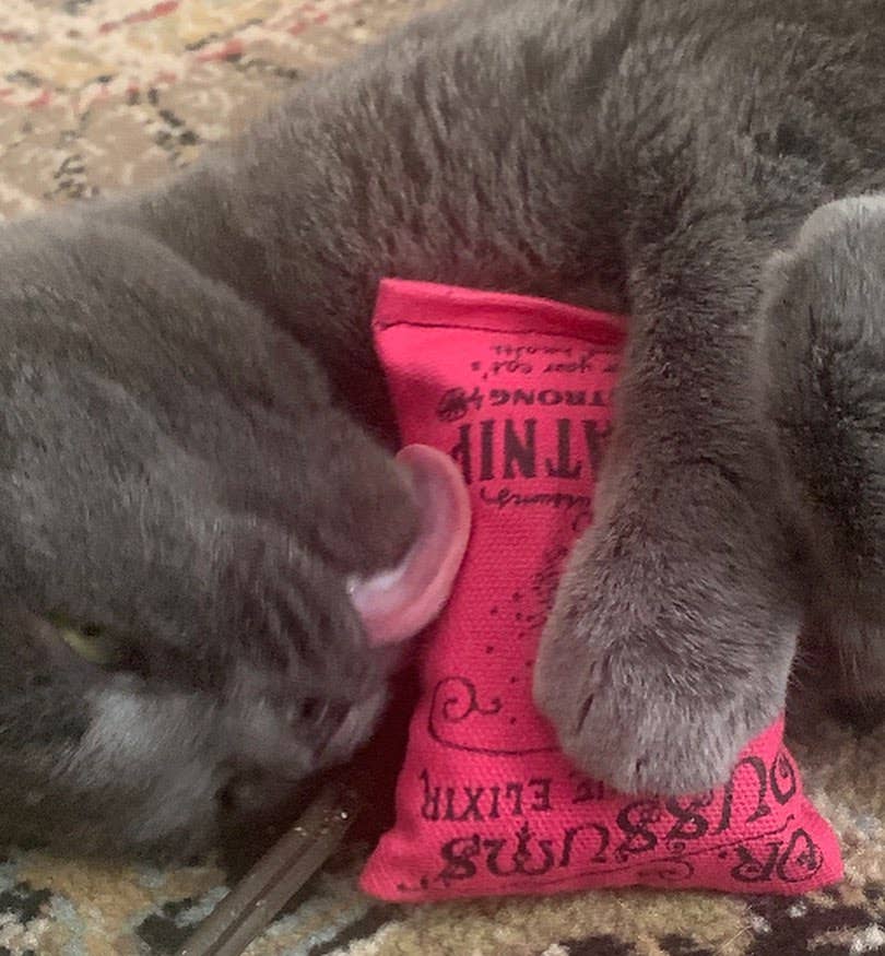 Regular Logo Catnip Pillow Catnip Toy (Assorted Colors)