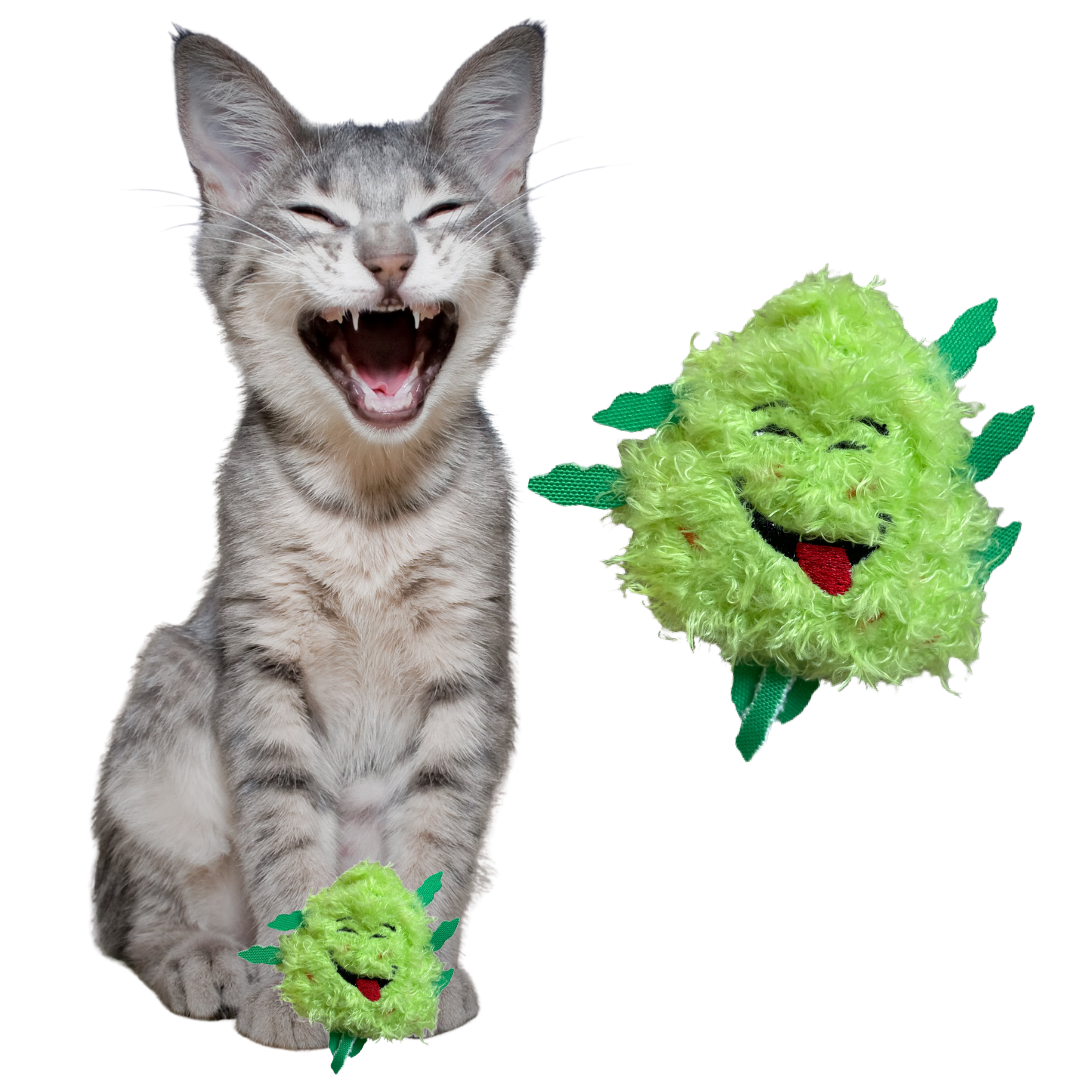 Weed Nug Catnip Cat Toy "Bud Jr."