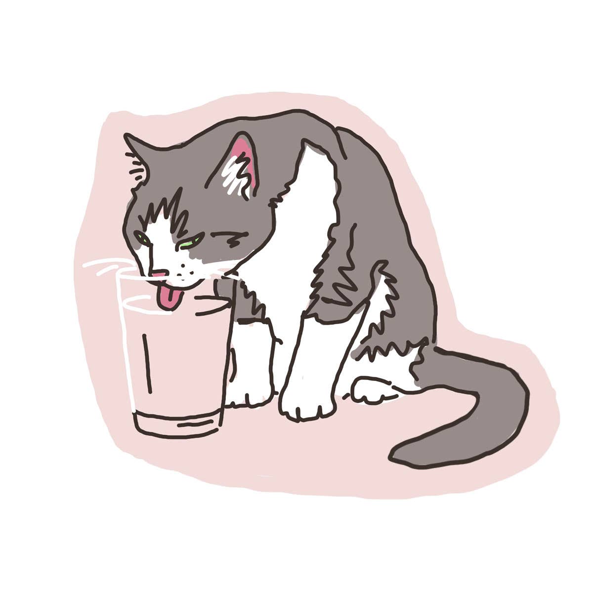 Cat Drinking Water Sticker