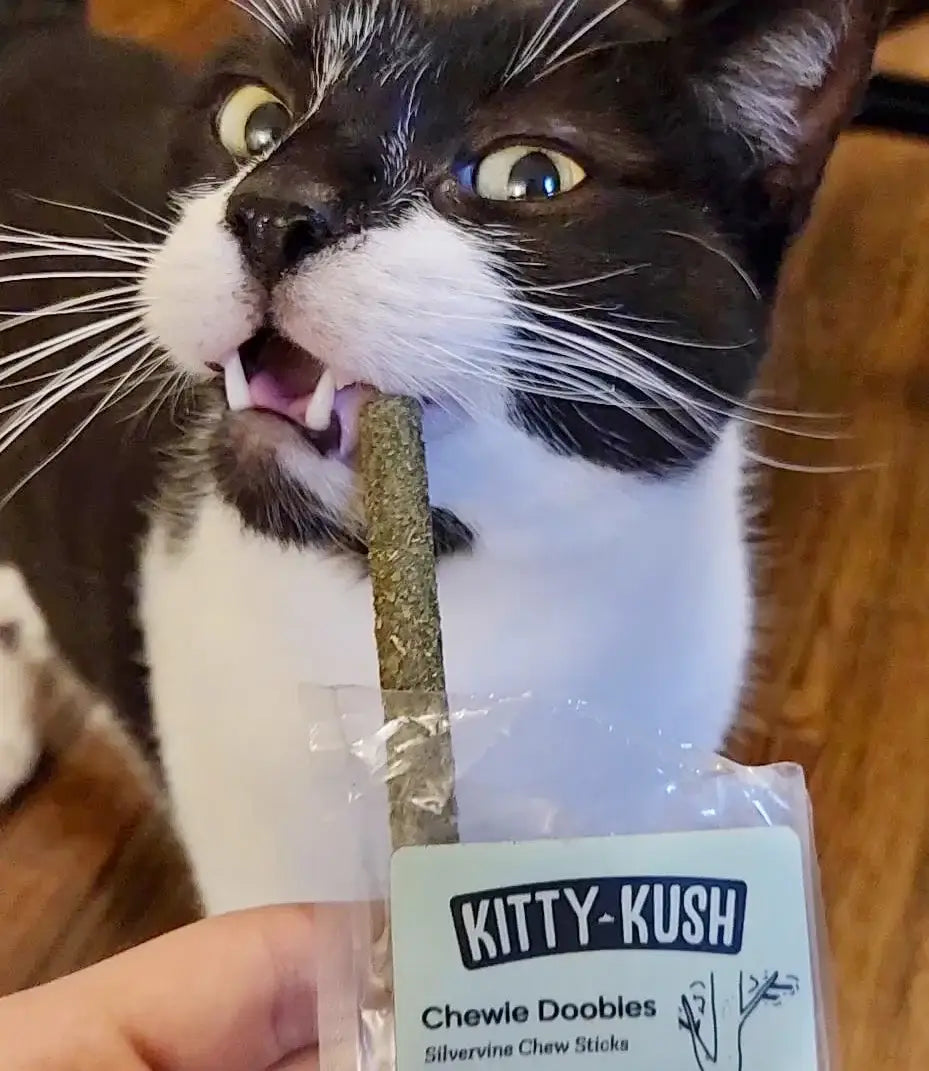 Chewie Doobies Silvervine & Catnip Chew Sticks