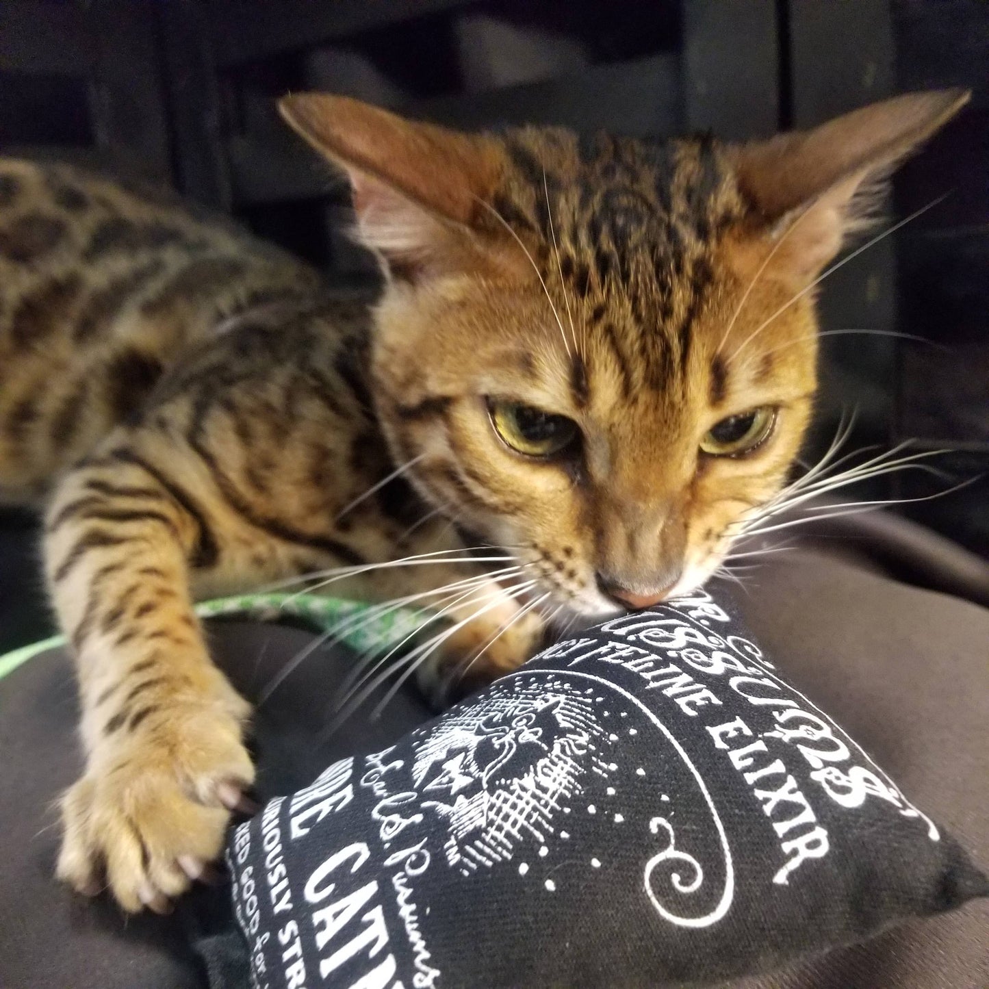Regular Logo Catnip Pillow Catnip Toy (Assorted Colors)