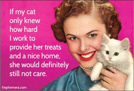 If My Cat Only Knew How Hard I Work She Wouldn't Care Magnet