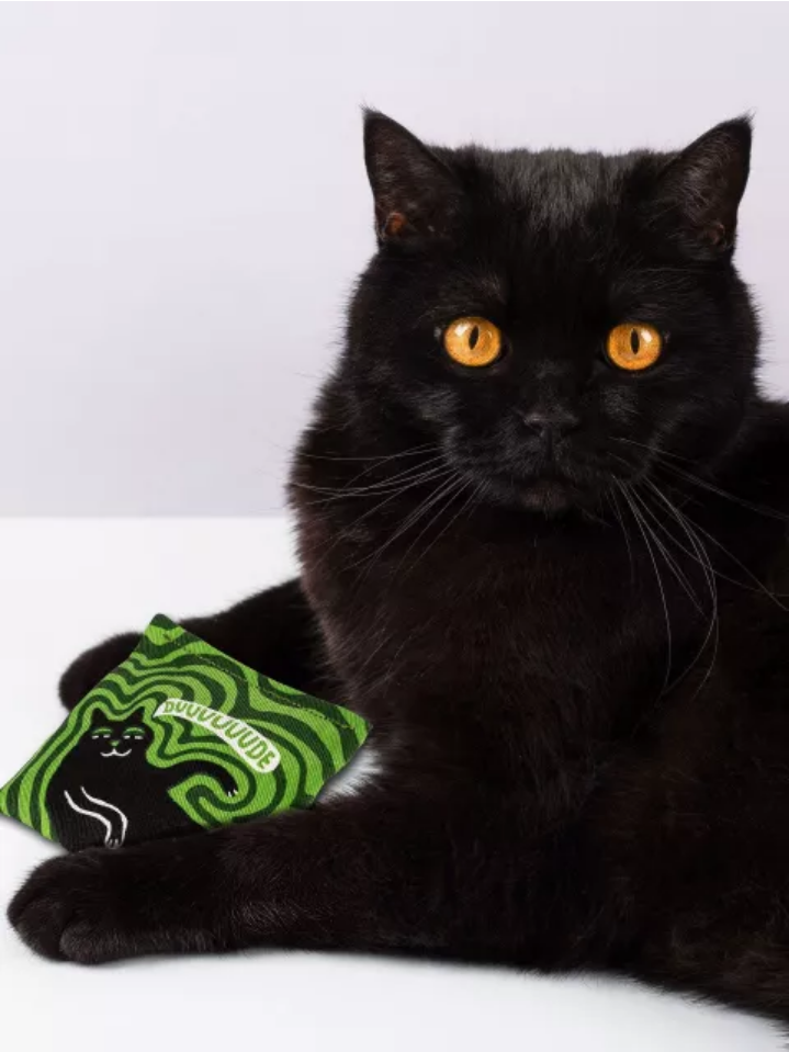 Duuuuuude Catnip Toy