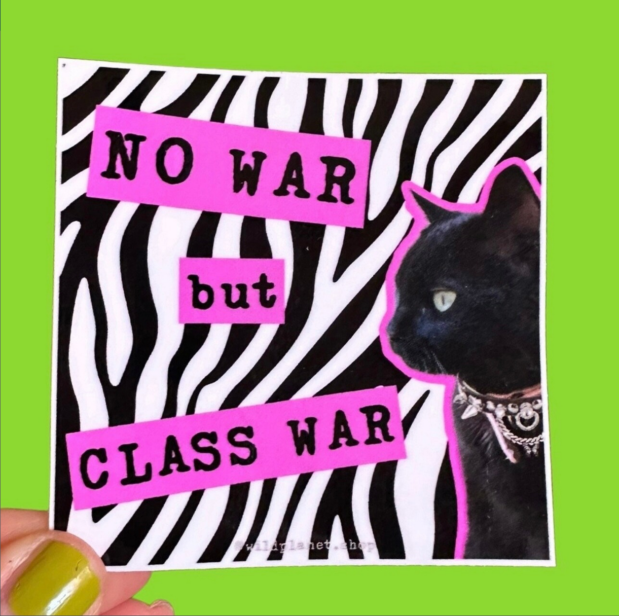 No War But Class War Cat Sticker