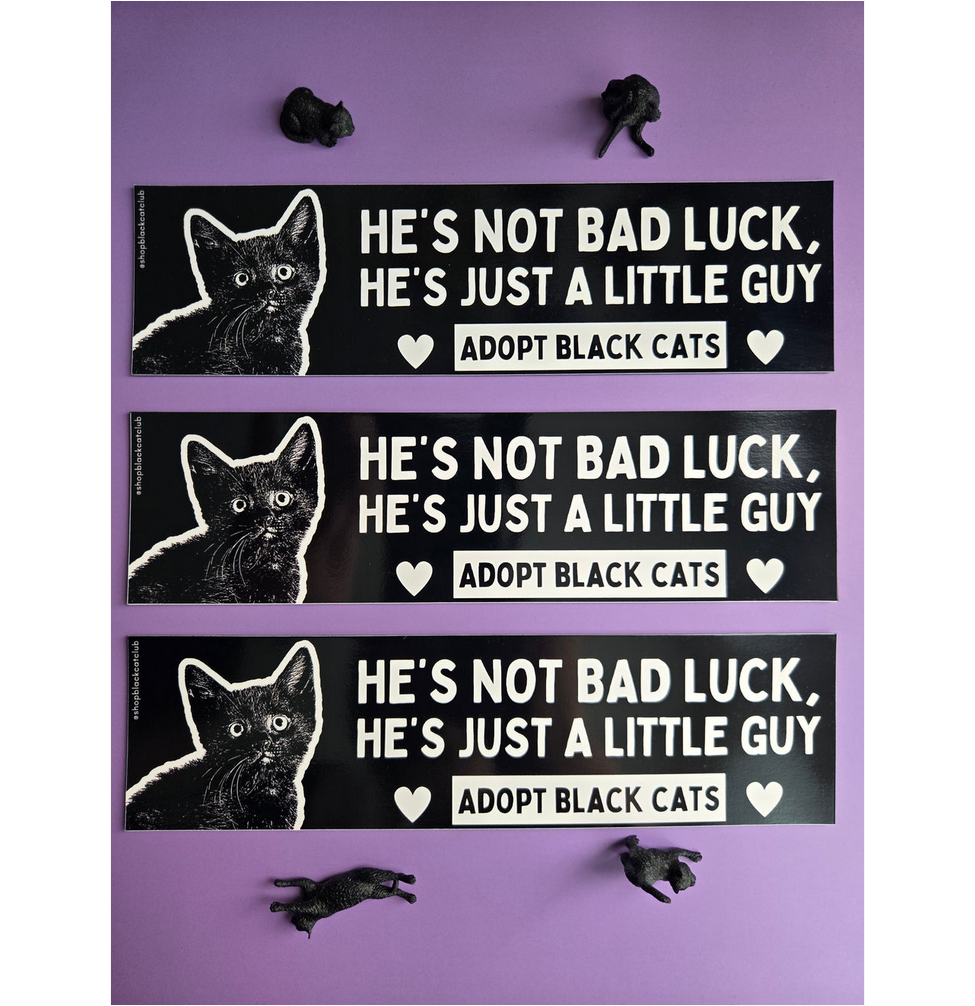 Just a Little Guy Black Cat Bumper Magnet