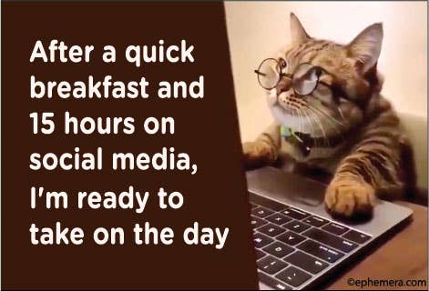 After a Quick Breakfast and 15 Hours on Social Media Cat Magnet