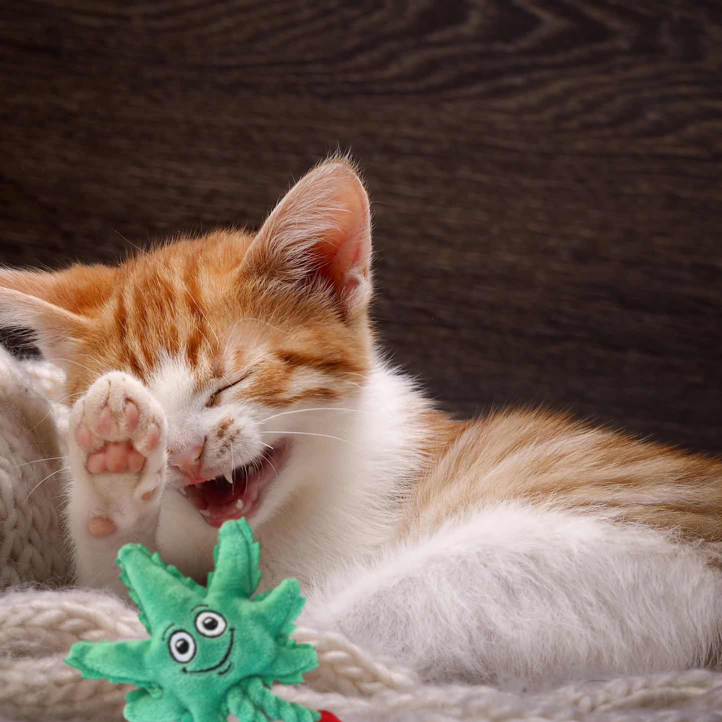 Weed Leaf Catnip Cat Toy "Lil' MJ"