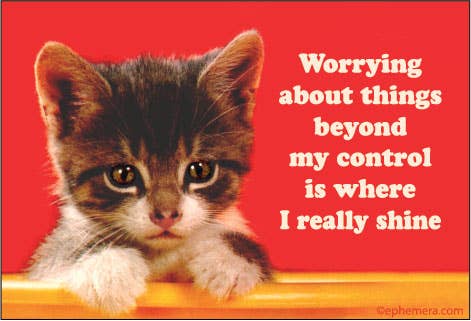 Worrying About Things Beyond My Control Cat Magnet