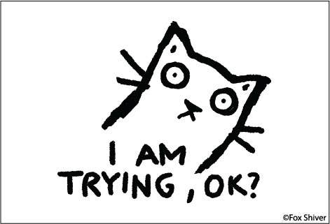 I Am Trying OK Cat Magnet