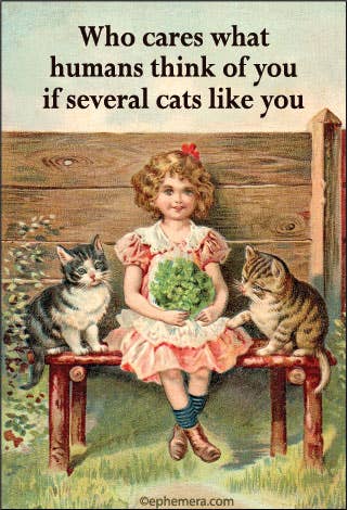 Who Cares What Humans Think of You Cat Magnet