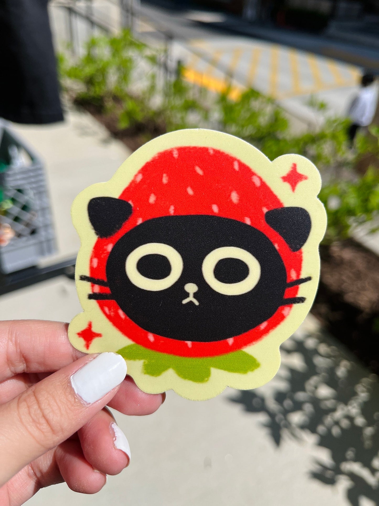 Strawberry Black Cat Matte Vinyl Sticker