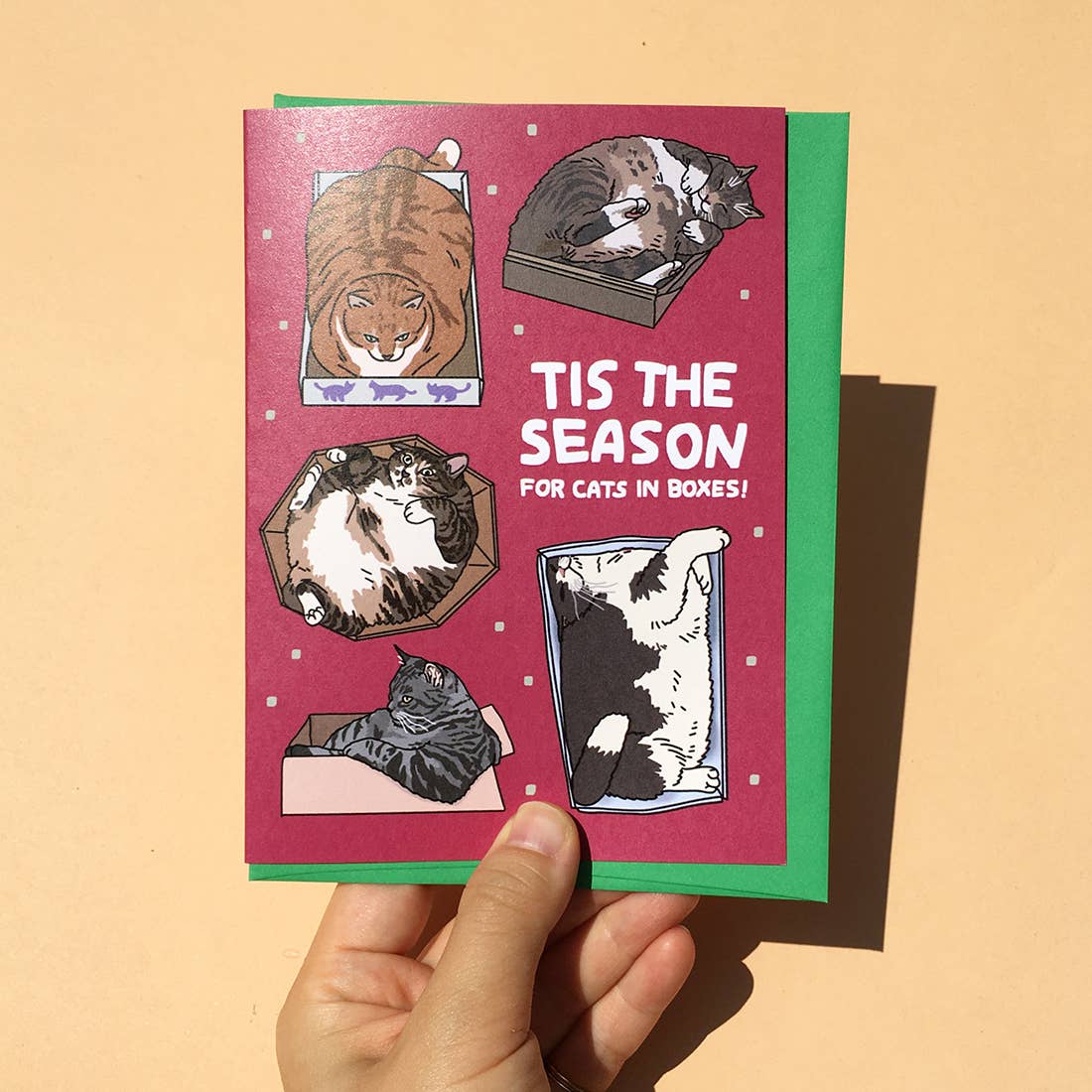 Tis The Season of Cats in Boxes Card
