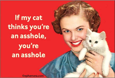 If my Cat Thinks You're an Asshole Magnet