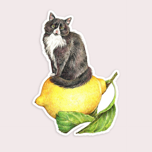 Lemon Cat Vinyl Sticker