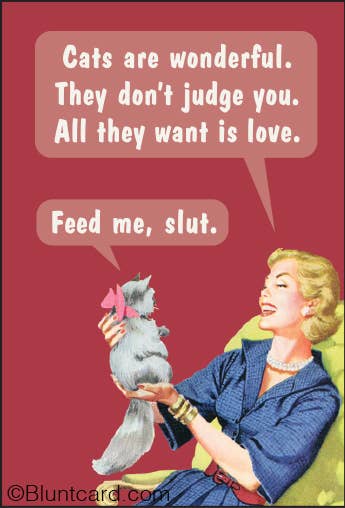 Cats Are Wonderful... Feed Me, Slut. Cat Magnet