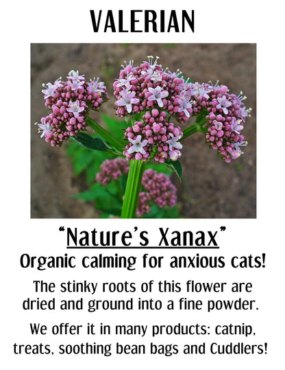 Catnip & Valerian Calming Cuddler Cat Toy (Assorted Patterns)