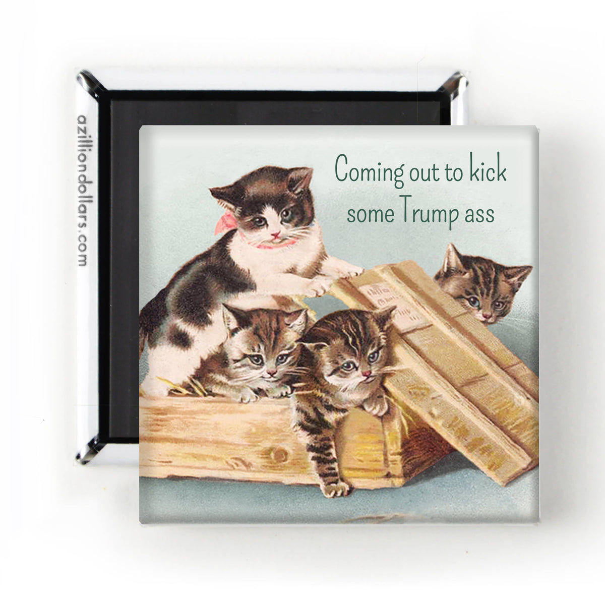 Anti-Trump Vintage Cat Magnet