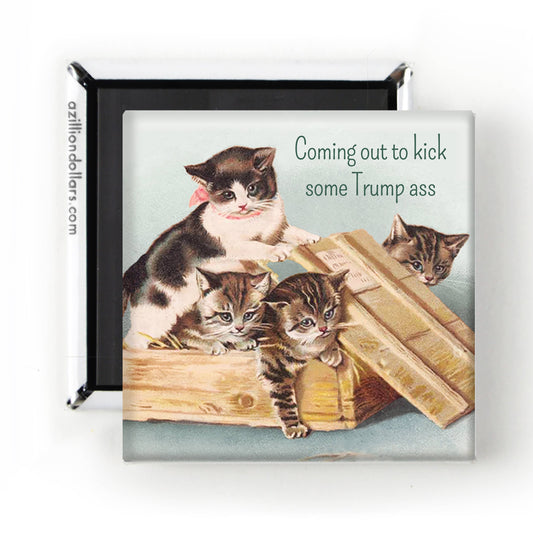 Anti-Trump Vintage Cat Magnet