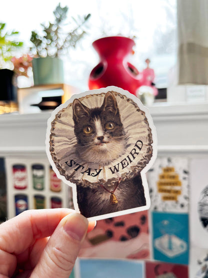 Stay Weird Elizabethan Cat Sticker