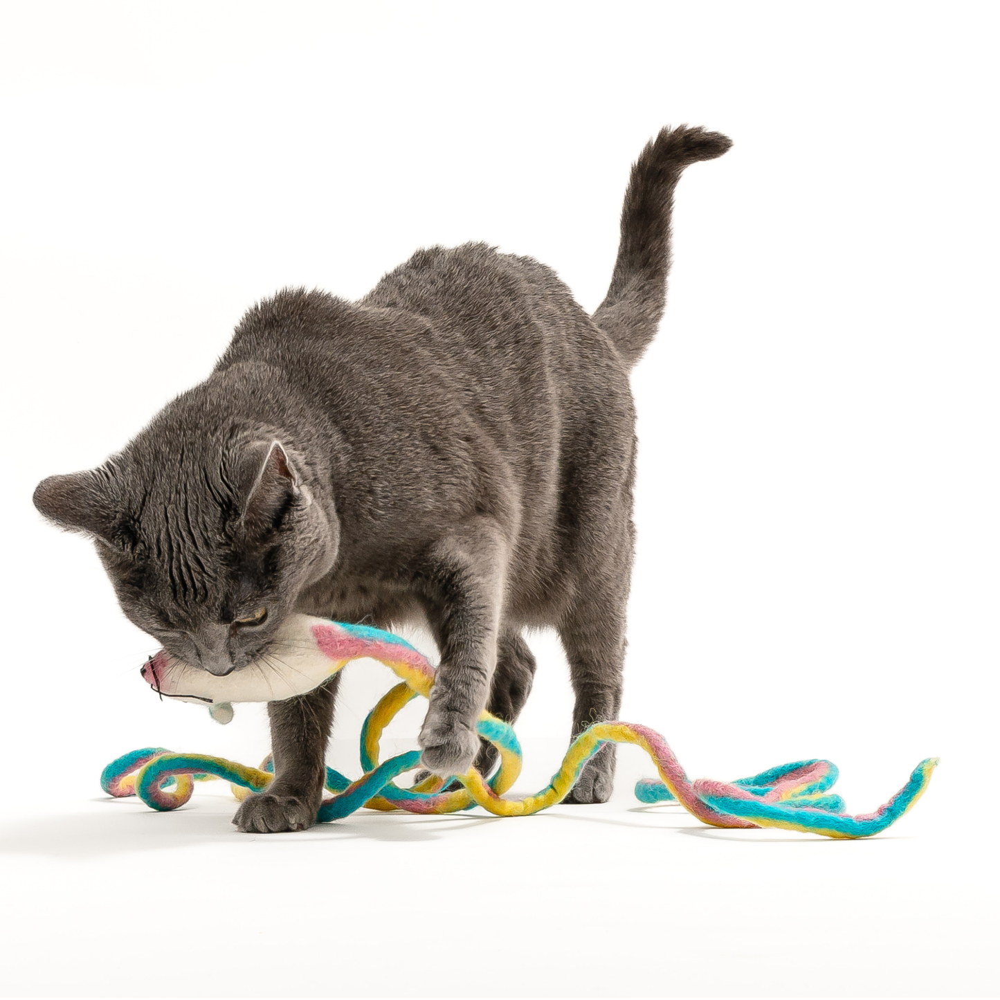 Wool Mouse Cat Toy with 6-Foot Tail (Rainbow)