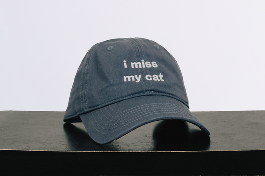I Miss My Cat Hat