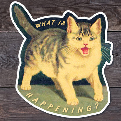 What is Happening Screaming Vintage Cat Sticker
