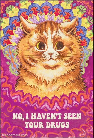 No, I Haven't Seen Your Drugs Cat Magnet