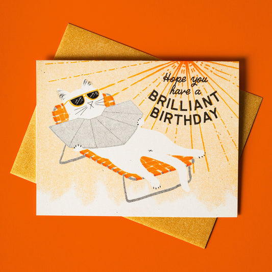 Hope You Have a Brilliant Birthday Tanning Cat Risograph Birthday Card
