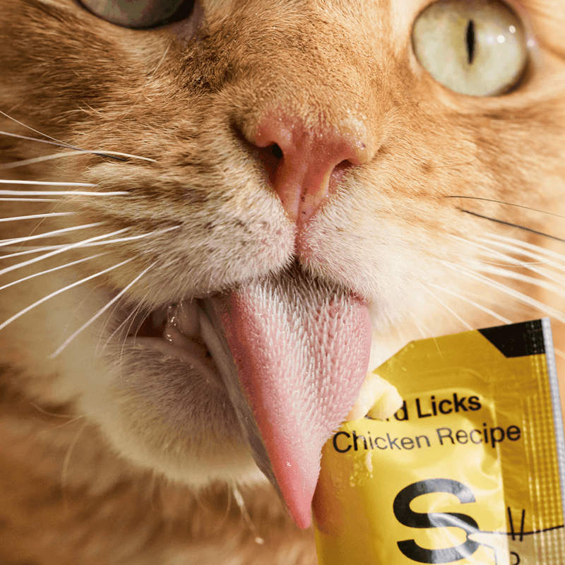 Bird Licks Cat Treats - Chicken (8 pack)