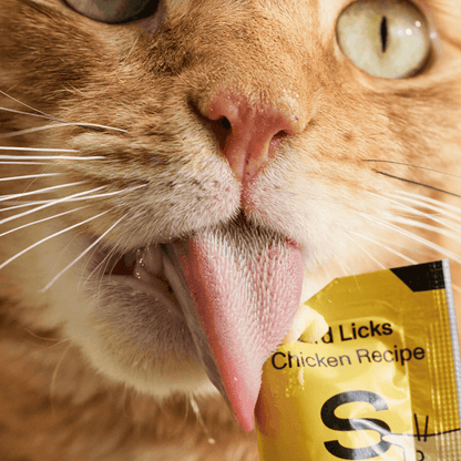 Bird Licks Cat Treats - Chicken (8 pack)