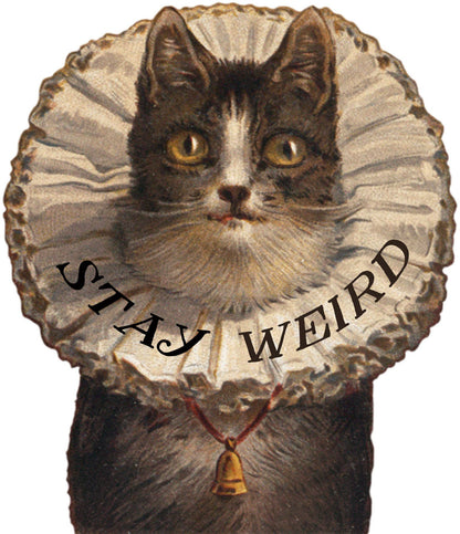 Stay Weird Elizabethan Cat Sticker