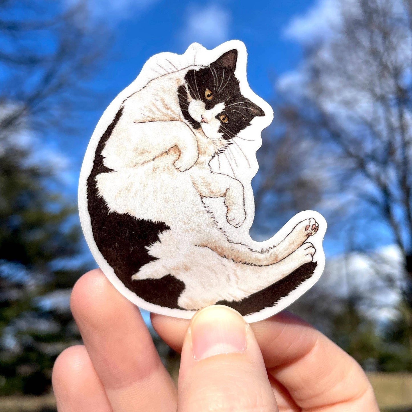 Black and White Cat Sticker