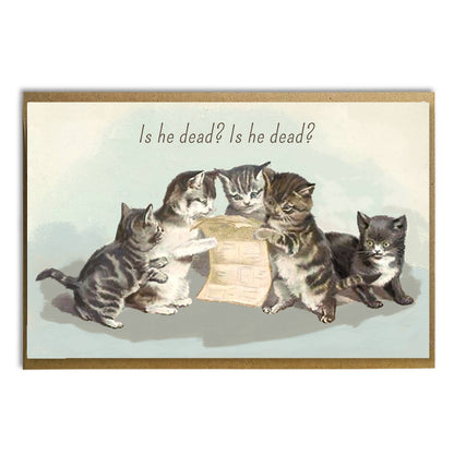 Anti-Trump Cats Card: Is he dead?