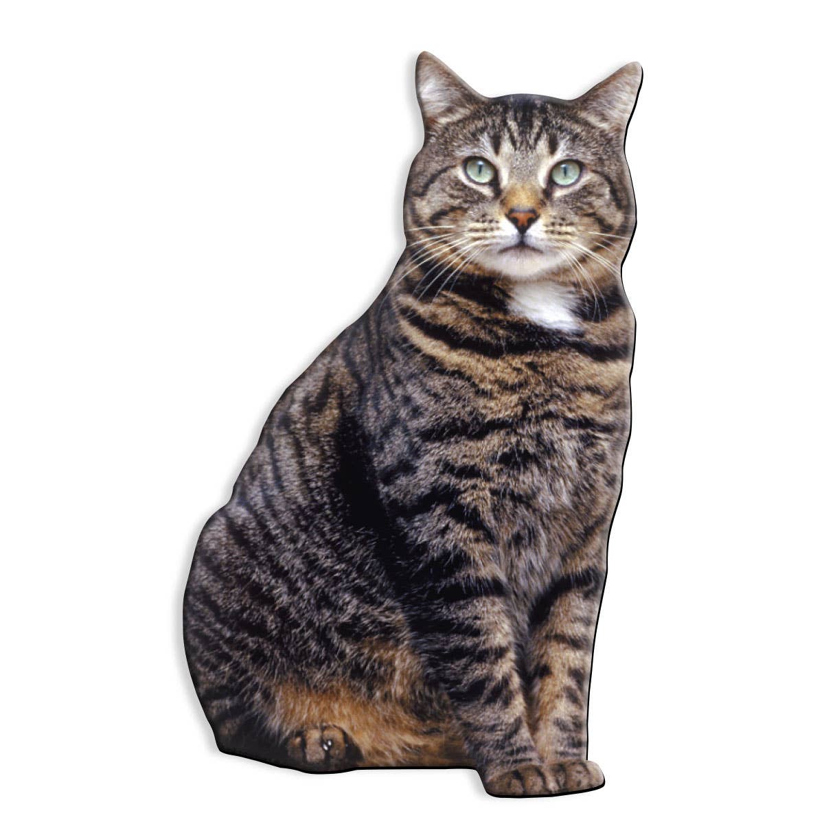Brown Tabby Cat Fridge Magnet