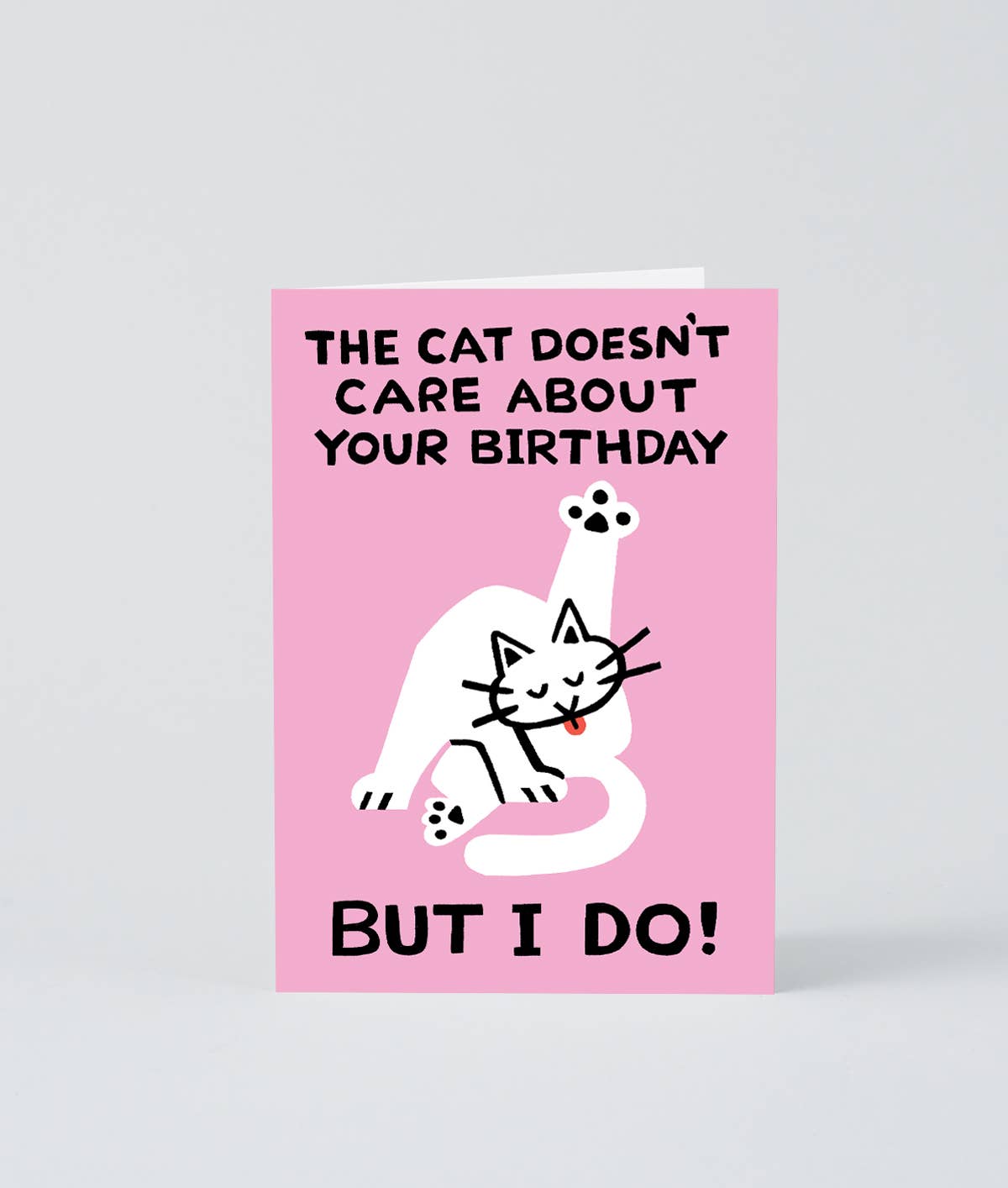 The Cat Doesn’t Care Greetings Card