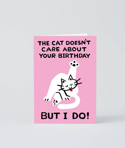 The Cat Doesn’t Care Greetings Card