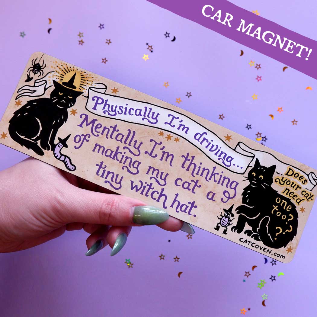 Thinking of Making my Cat a Tiny Witch Hat Car Magnet