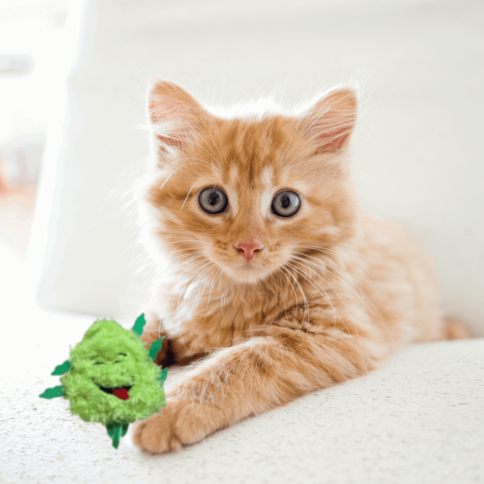 Weed Nug Catnip Cat Toy "Bud Jr."