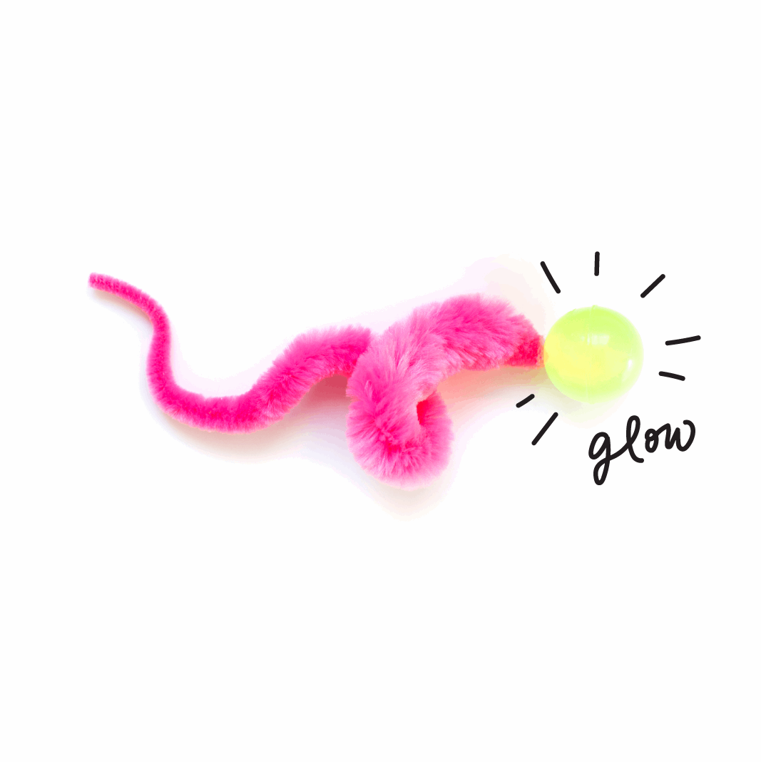 Wiggly Glow Glow in the Dark Cat Toy Bouncy Ball (Assorted Colors)