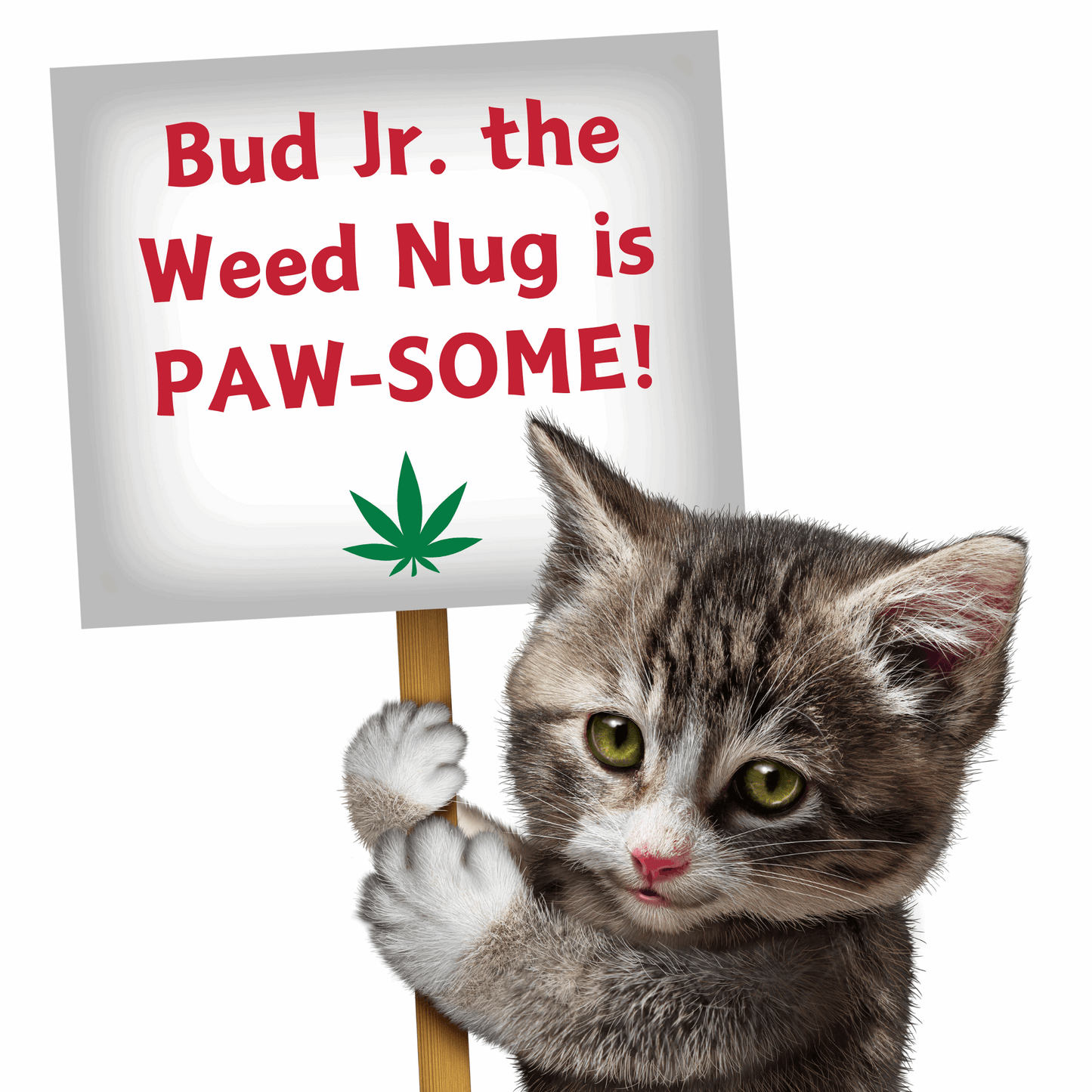 Weed Nug Catnip Cat Toy "Bud Jr."