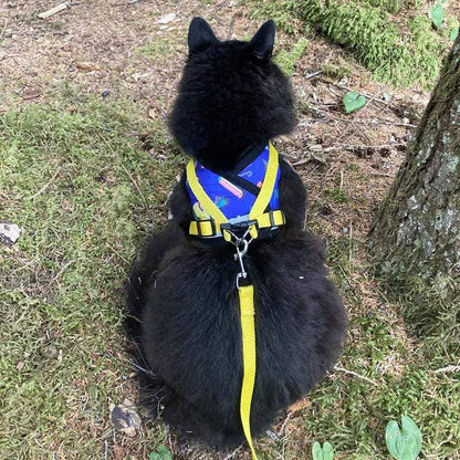 "The 90s Cat" Limited-Edition Cat Harness & Leash Set