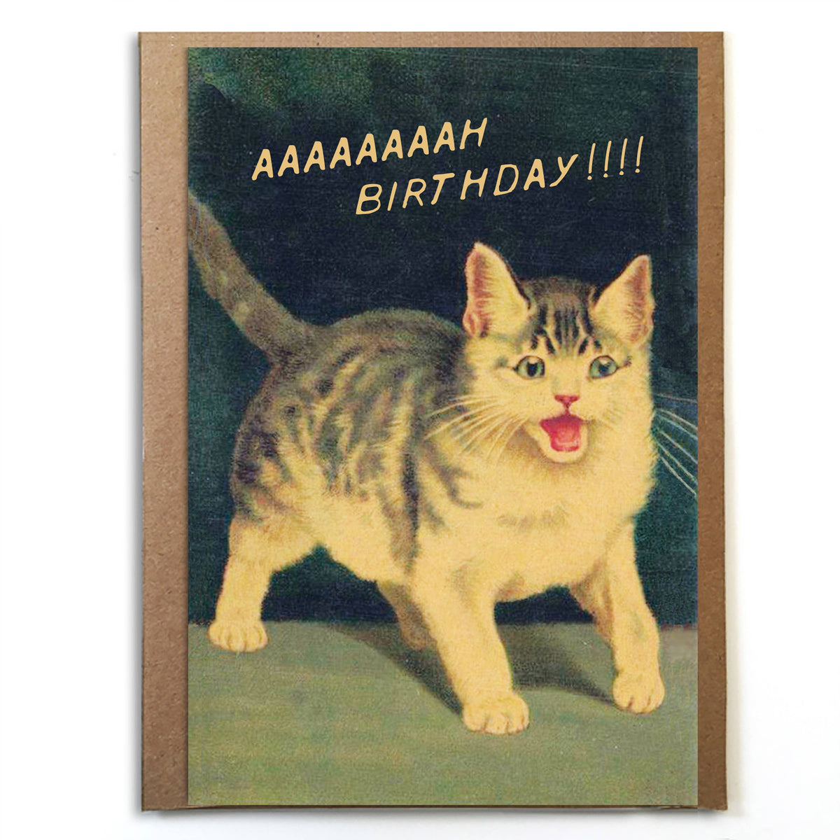 Cat Birthday Aaaaaaaaah! Funny Birthday Card
