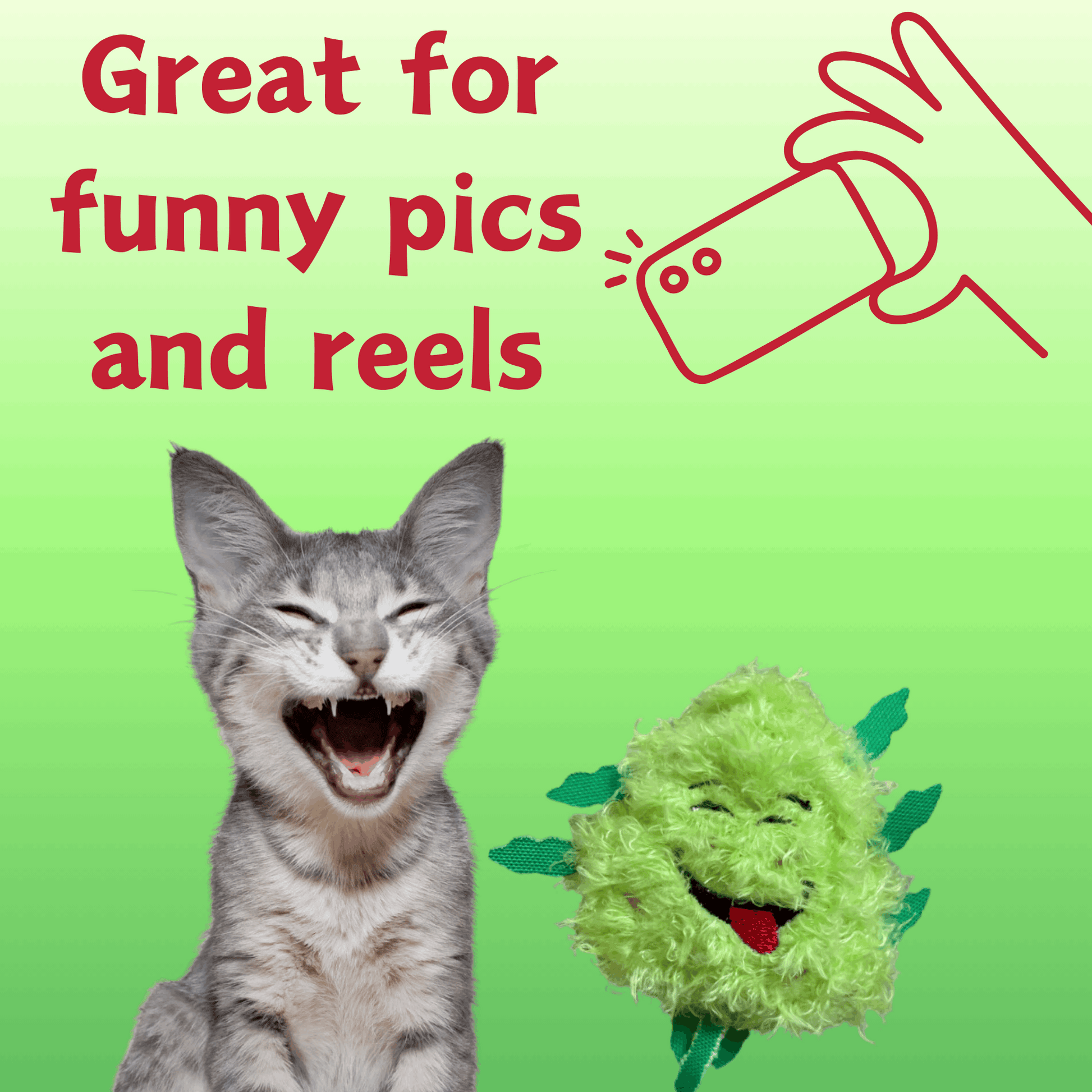Weed Nug Catnip Cat Toy "Bud Jr."