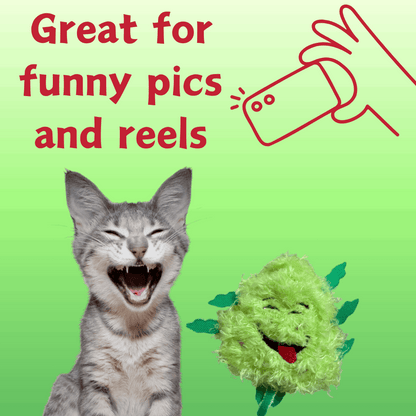 Weed Nug Catnip Cat Toy "Bud Jr."