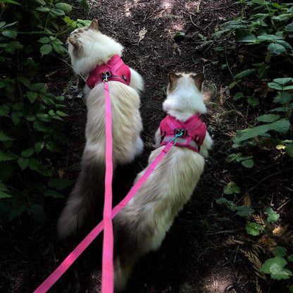 "The Purrfectly Pink" Iridescent Harness & Leash Set