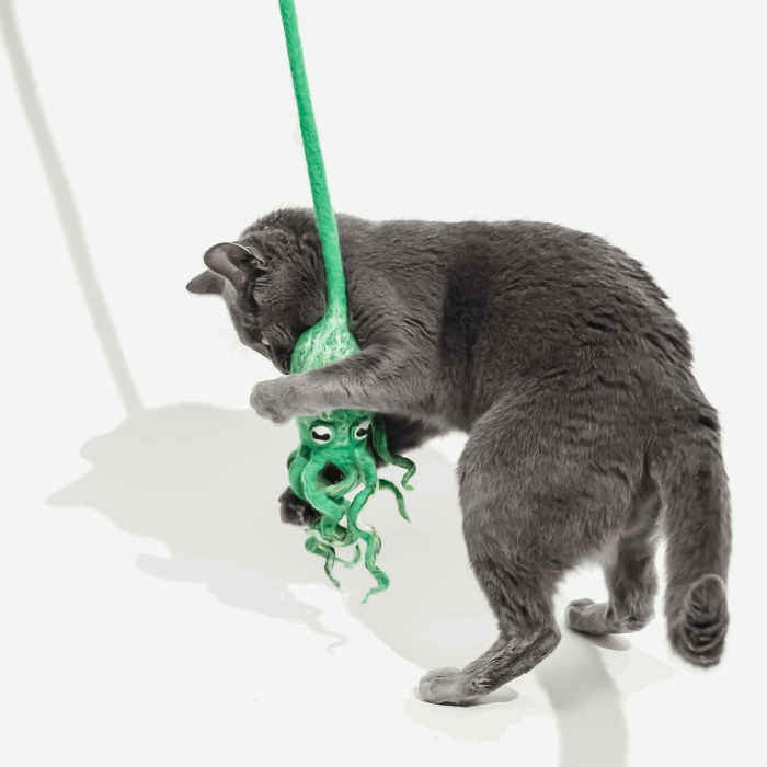 Wool Octopus Cat Toy with 4-Foot Tether (Sea Kelp Green)